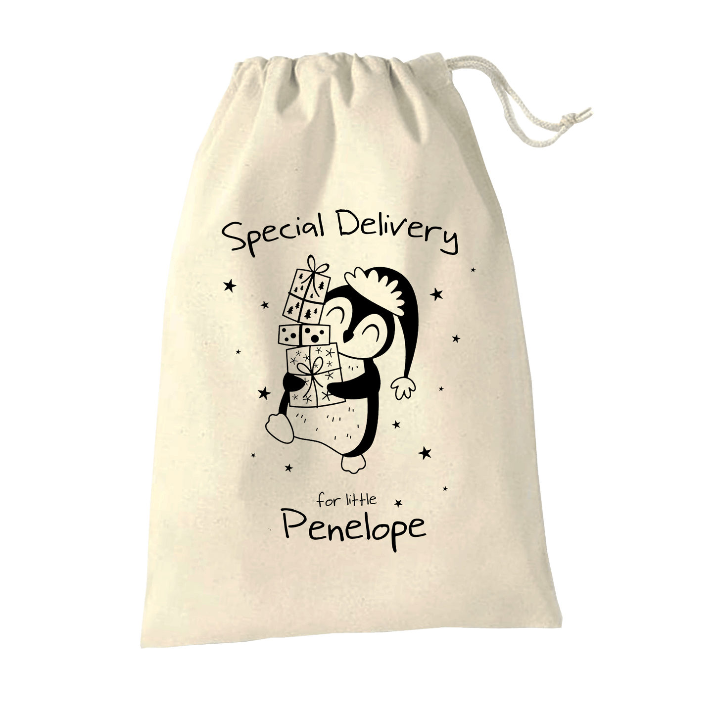Christmas Sack - Special Delivery